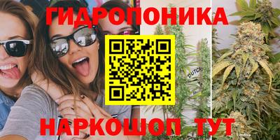 соль курить ск Гай