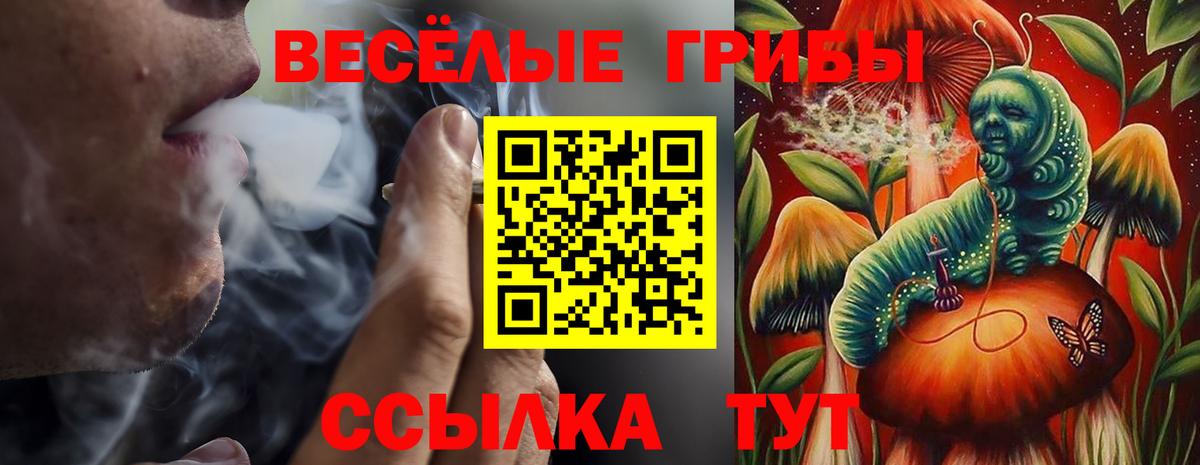 Псилоцибиновые грибы Psilocybine cubensis  Вход с VPN  Бор  Галлюциногенные грибы Psilocybe 